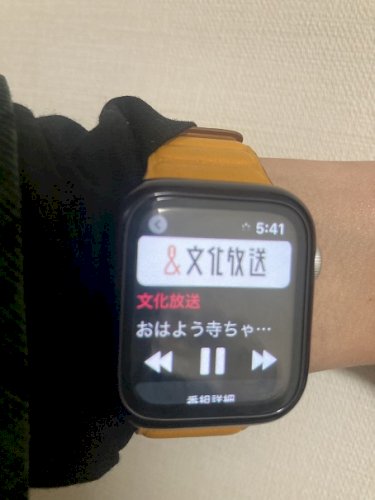 「アップルウォッチについて アップルウォッ」の回答画像1