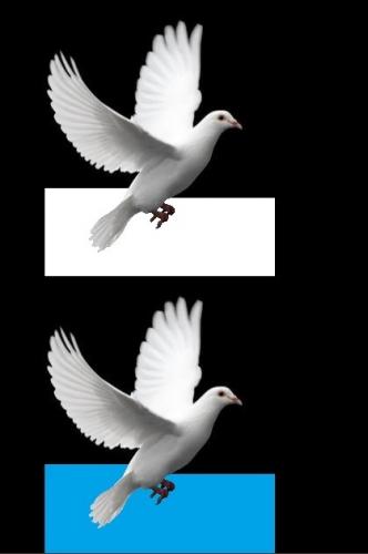 「背景画像 透過」の回答画像5