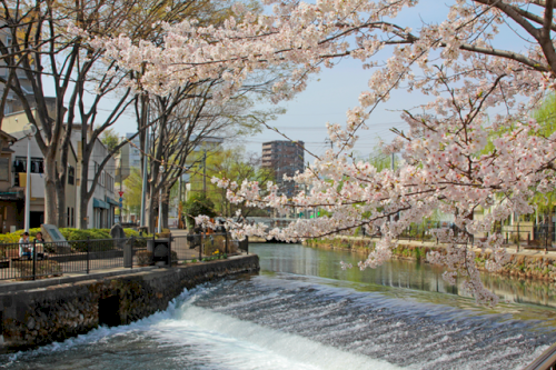 「7月7日は川の日•*¨*•.¸¸☆*・゚」の回答画像5