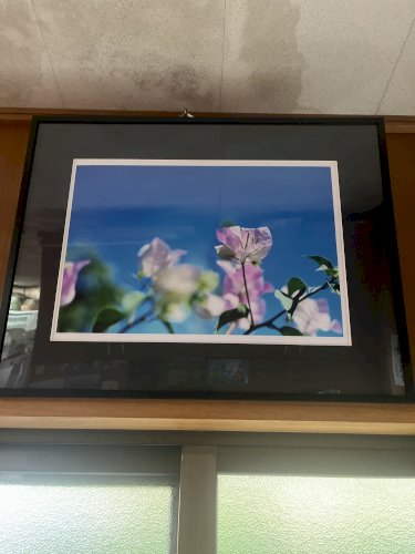 「地元新聞社主催の芸術コンクール『写真部門」の質問画像