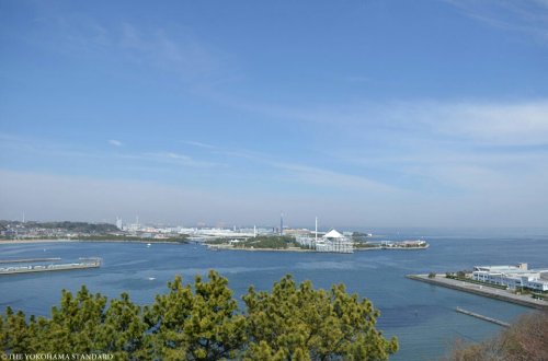 「このお花、知ってますか? 余りにも綺麗な」の回答画像126