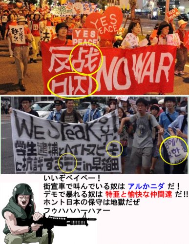 「核保有 皆さんは賛成?反対?」の回答画像9