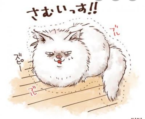 「最近凄く寒いので、夜中飼い猫が寒いだろう」の質問画像