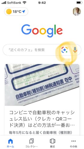 「この花の名前を教えて!goo 今朝、公園」の回答画像3
