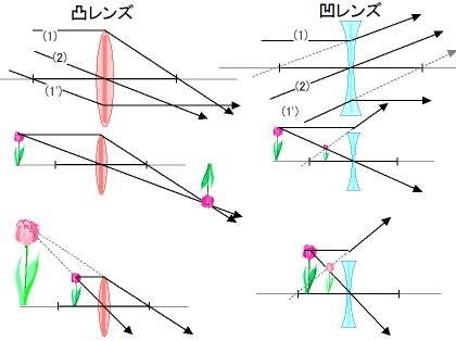 「センター物理 レンズ 再」の回答画像8
