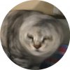 ピー猫