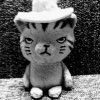 A.masao