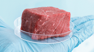 代替肉があたりまえになる時代がくる?「代替肉」メーカーに実態を聞いた!
