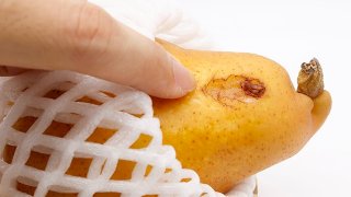 購入した果物が傷んでいた!返品するのは非常識?