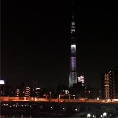 ユッキーナも大満足!みんなの回答による東京下町旅が終了!
