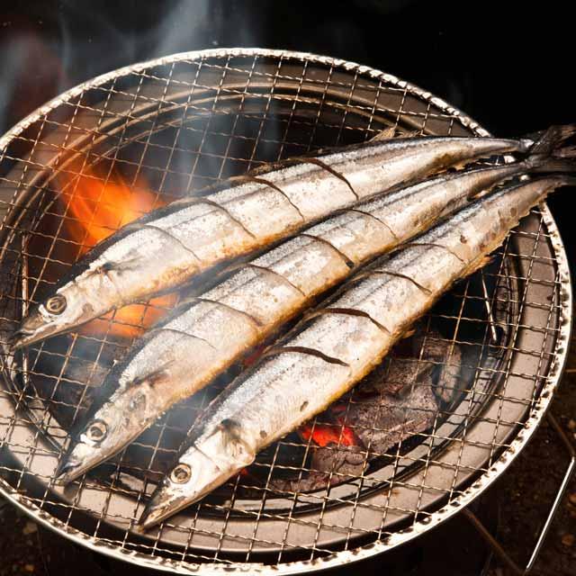 秋刀魚の知っ得情報