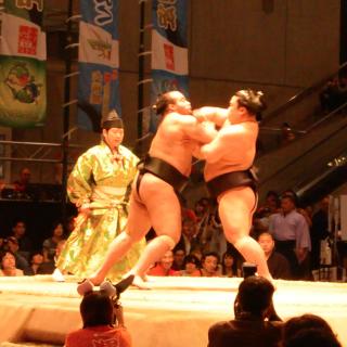 会場が超一体!ニコニコ超会議リアルSUMOU特集