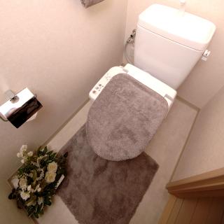 トイレマットを敷くメリット・デメリットを学者に聞いてみた!