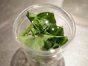 栄養たっぷり!“食べる美容液“ケールを使用したラーメンが期間限定で登場