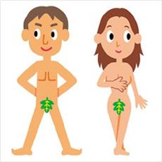 人類が股間を隠すようになった理由