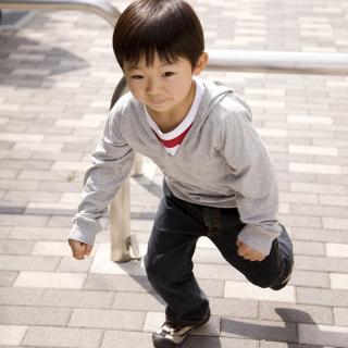 乳幼児ハーネスが犬の散歩みたい?じゃあ事故っても後悔しない?