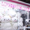 マモニャンのBIGぬいぐるみがクレーンゲームに登場!取り方のコツを伝授!!