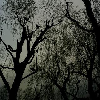 心理学者が暴露!心霊写真の正体は「シュミラクラ現象」だった
