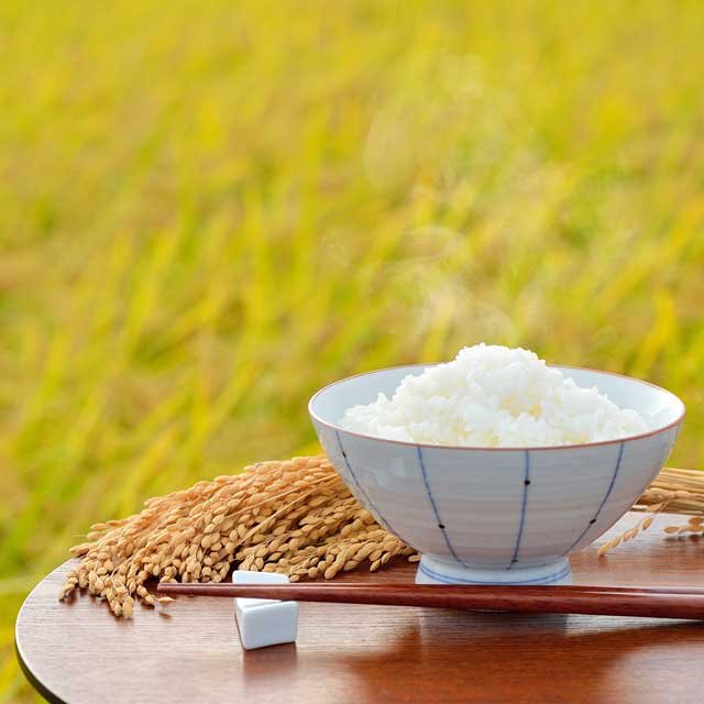 糖質制限ダイエットってどうなの?白米をおいしく食べる「ご飯の友」を紹介!