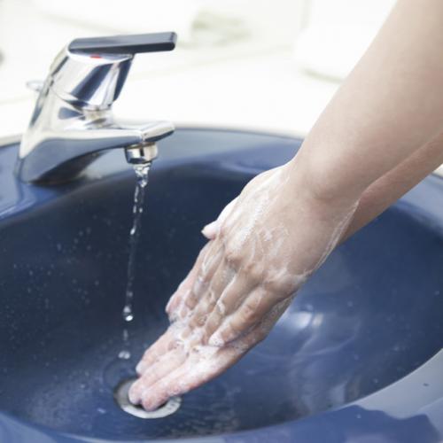 「トイレで手を洗わないとどれくらい汚いの?」の質問画像