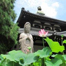 お寺の本尊をいつも見せない理由とは?