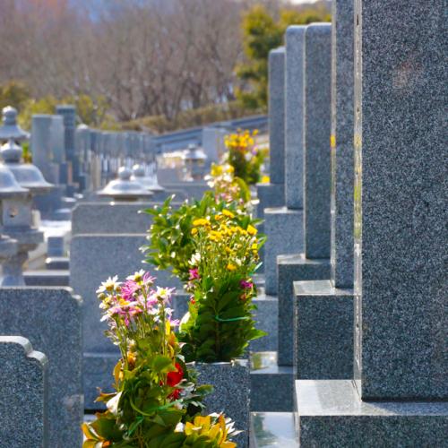 「今は亡きあの人の墓前に手向けるなら忘れ草」の質問画像