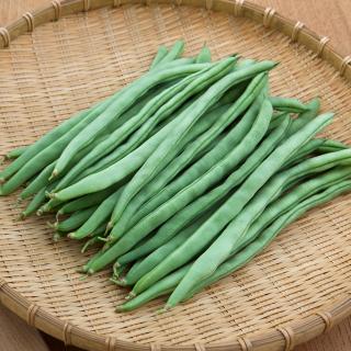 家庭菜園にもオススメの「いんげん豆」 スープで食べるのがマル!