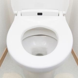 なぜトイレの便器は白ばかりなのか?