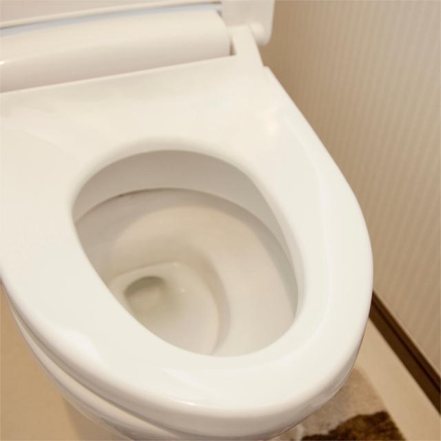 トイレは超危険スポット!ノロウイルスに感染しない・拡大させないためには