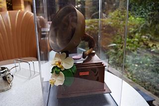 蘭の花もチョコ!音が鳴る蓄音機型のチョコレートが限定発売