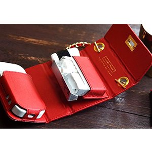 本体、ヒートスティック、掃除セットを持ち運べる
