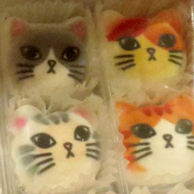「可愛いネコグッズがたくさん!「フェリシモ」の質問画像
