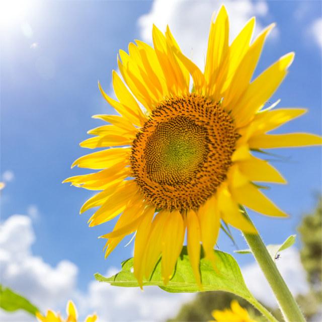 夏バテと思ったら「かくれ脱水」? 放置すると熱中症の恐れも
