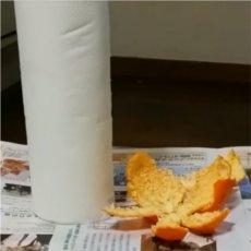 電子レンジのニオイと汚れを落とす果物とは!?