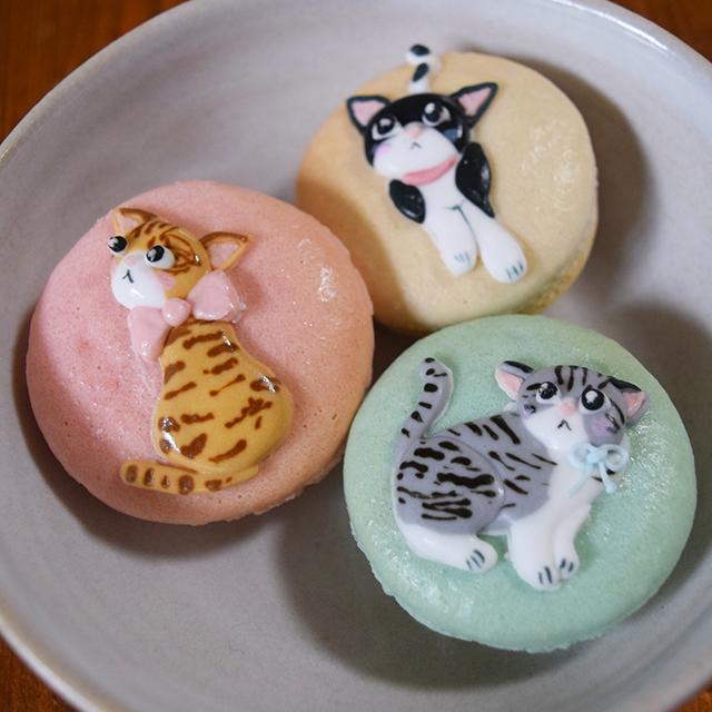 つぶらな瞳にキュン!かわい過ぎる猫の生チョコマカロンを取り寄せてみた