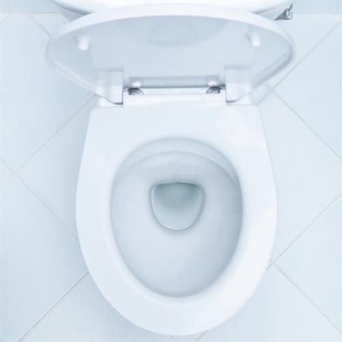 「公共施設のトイレの便座から病気はうつるの」の質問画像