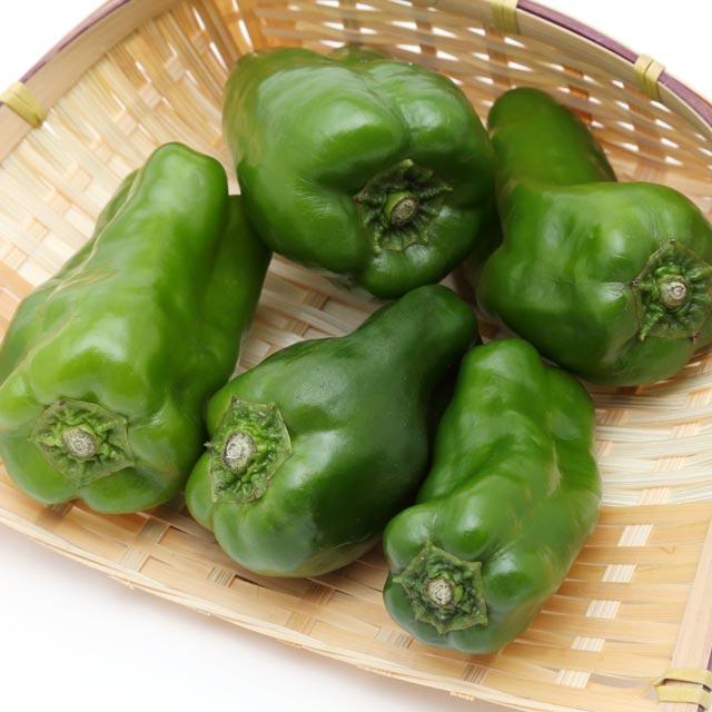 専門家に聞いてみた!苦いピーマンを美味しく食べるコツ