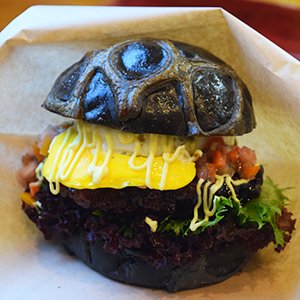 5.黒カメ