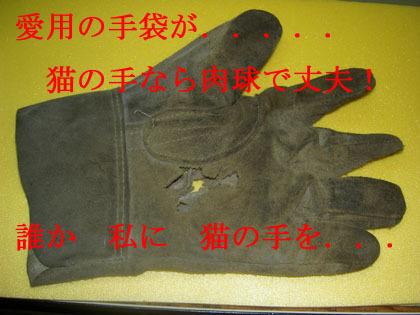 「猫の手も借りたいですよね・・・。」の回答画像5