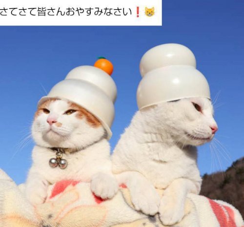 「ぐっすり寝Night」の回答画像152