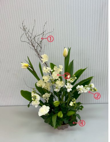 「これらの草花の名前を教えてください。 ①」の補足画像2
