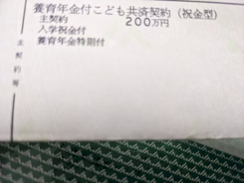 「この写真の学資保険はjaの共済保険です。」の質問画像