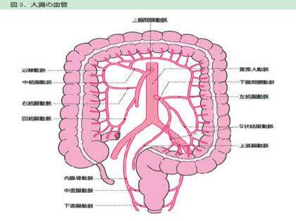 「大腸の切除術に関する質問です」の質問画像
