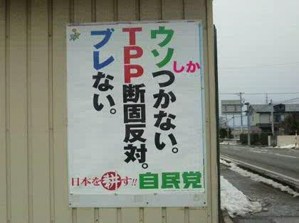 「ウソ「しか」つかない自民党。」の質問画像