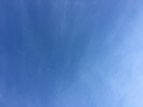 「今日一日は？ 一日頑張って振り替えるとど」の回答画像4