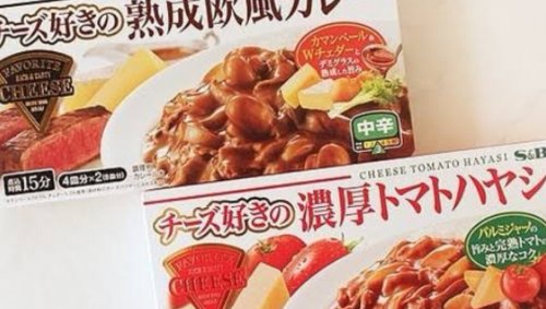 「ご飯にシチューをかけて食べますか？」の回答画像105
