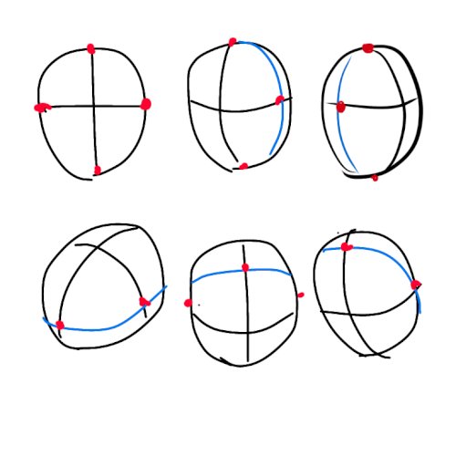 「イラストの顔のアタリについて。 顔を傾け」の回答画像1