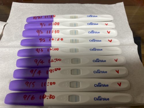 「妊娠希望。排卵検査薬いつが排卵日？」の質問画像