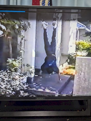 「一時はこのようにいとも簡単に逆立ちはして」の質問画像