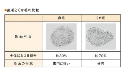 「質問です 自分は少し癖毛なんですが、ドラ」の回答画像1